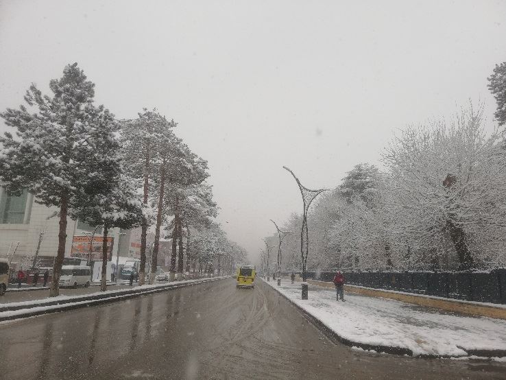 TATVAN