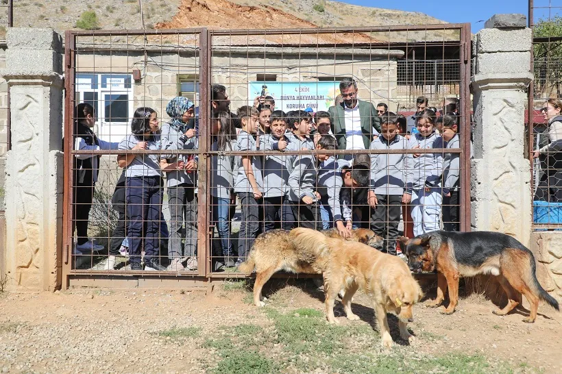 Bitlis Belediyesi’nden 4 Ekim  Hayvanları Koruma Günü Etkinliği 