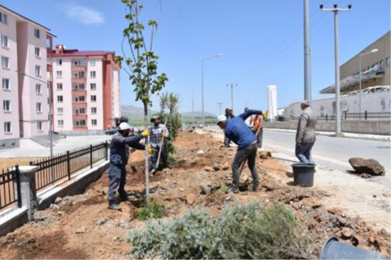 Tatvan’da 250 Ağaç Toprakla Buluştu
