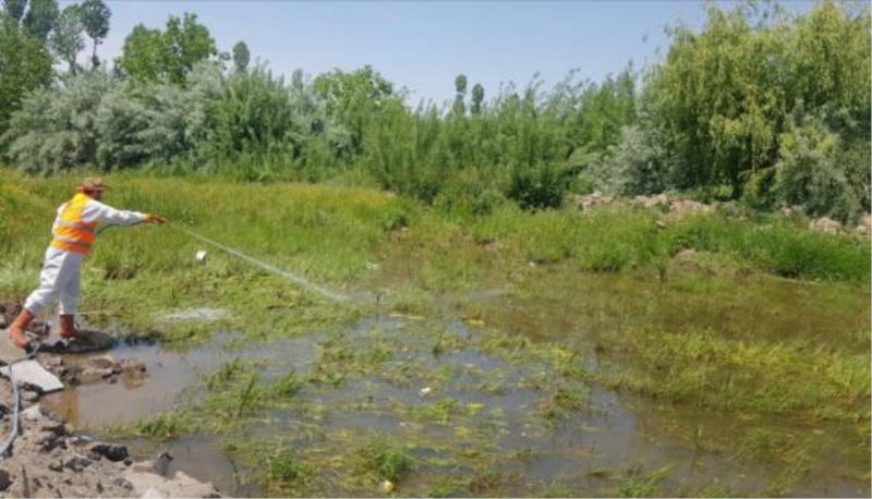 Tatvan’da Larva ve Sivrisinek İlaçlama Çalışmaları
