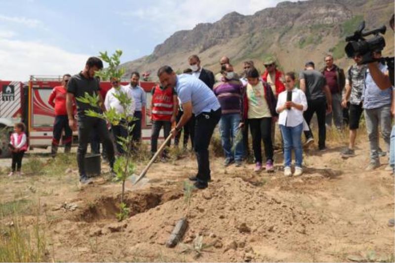 Tatvan Belediyesi, orman yangınlarında hayatını kaybedenler için fidan dikti